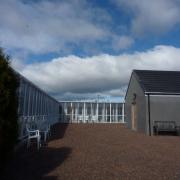 Cattery 1